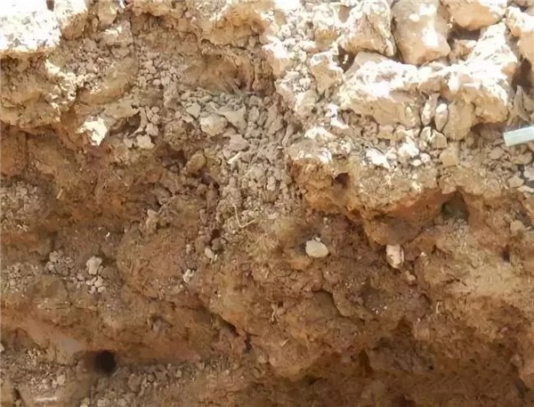 土壤養分分析儀測定土壤中總氮含量