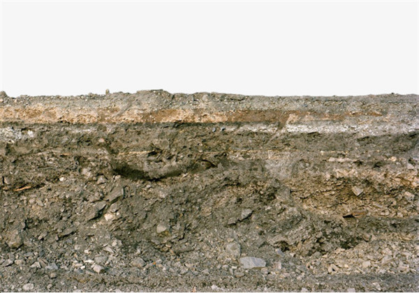 土壤養分測試儀測定江蘇省土壤養分 土壤養分測試儀測定江蘇省土壤養分