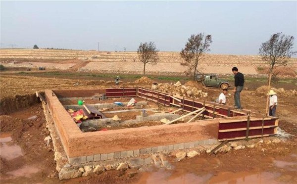 土壤肥料養分記錄儀和有機質的原理及功能效應 土壤肥料養分記錄儀和有機質的原理及功能效應